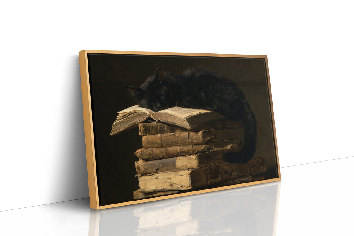 Light Reading, Heavy Napping