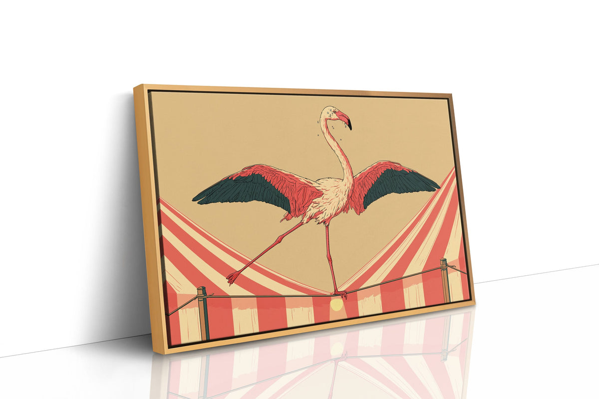 Flamingo Tightrope Circus Act