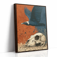 Vulture Over Cracked Earth