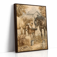 A Foal's First Introductions