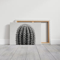 Spines Dance In Silver Light