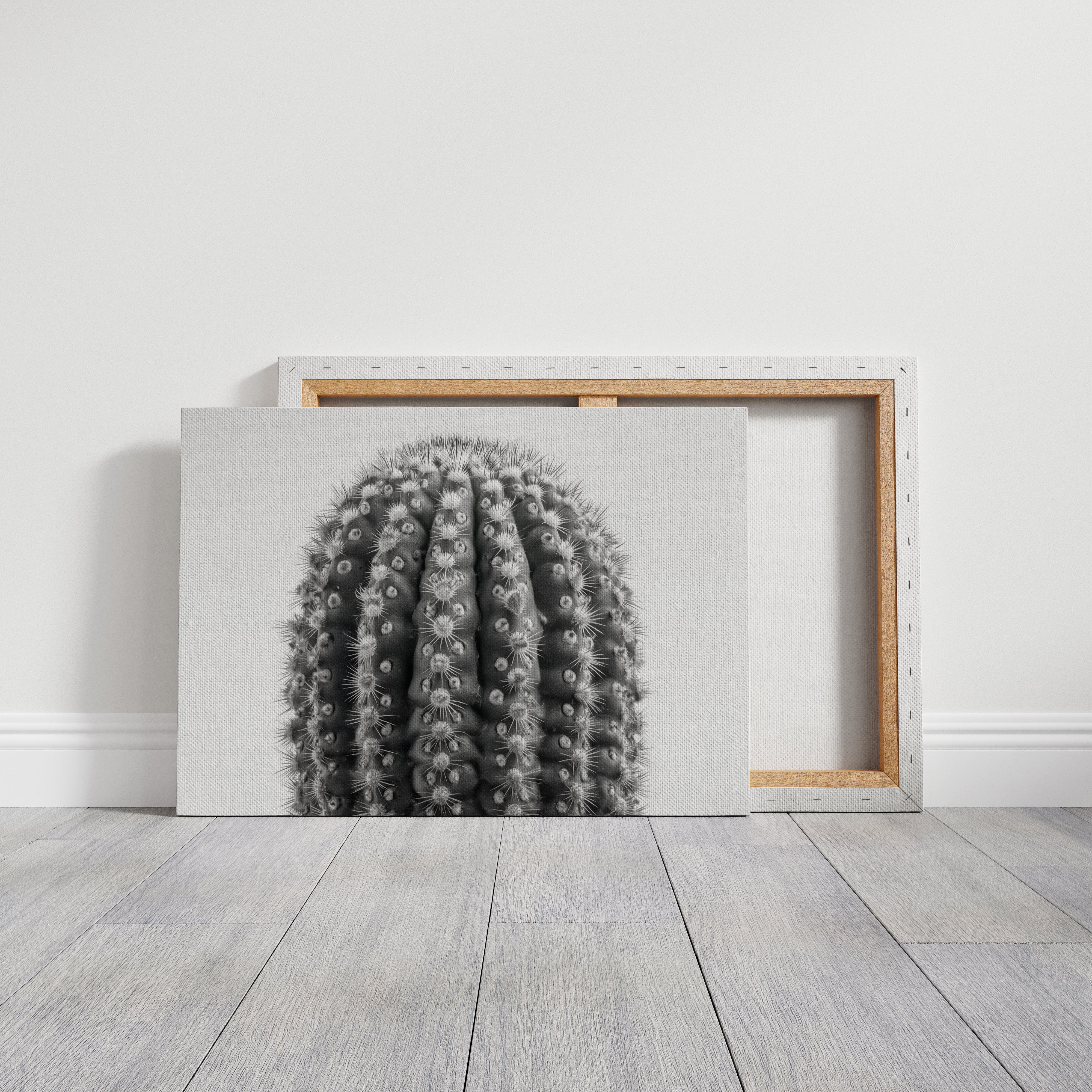 Spines Dance In Silver Light