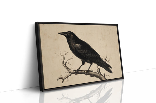 Raven Among Literary Companions