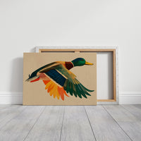 Mallard in Midair