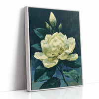 Ivory Bloom in Shadow