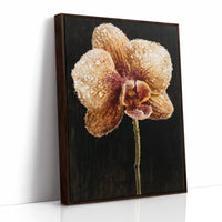 Orchid Stem in the Dark