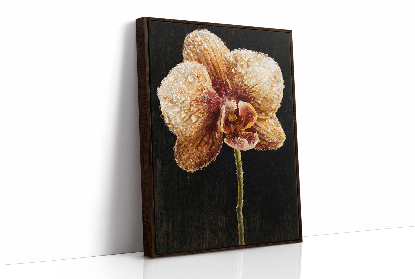 Orchid Stem in the Dark
