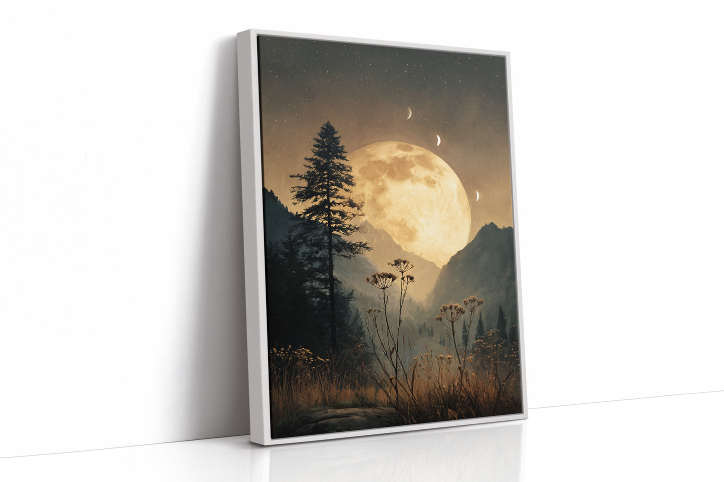 Moonlit Serenade Over Silent Valleys