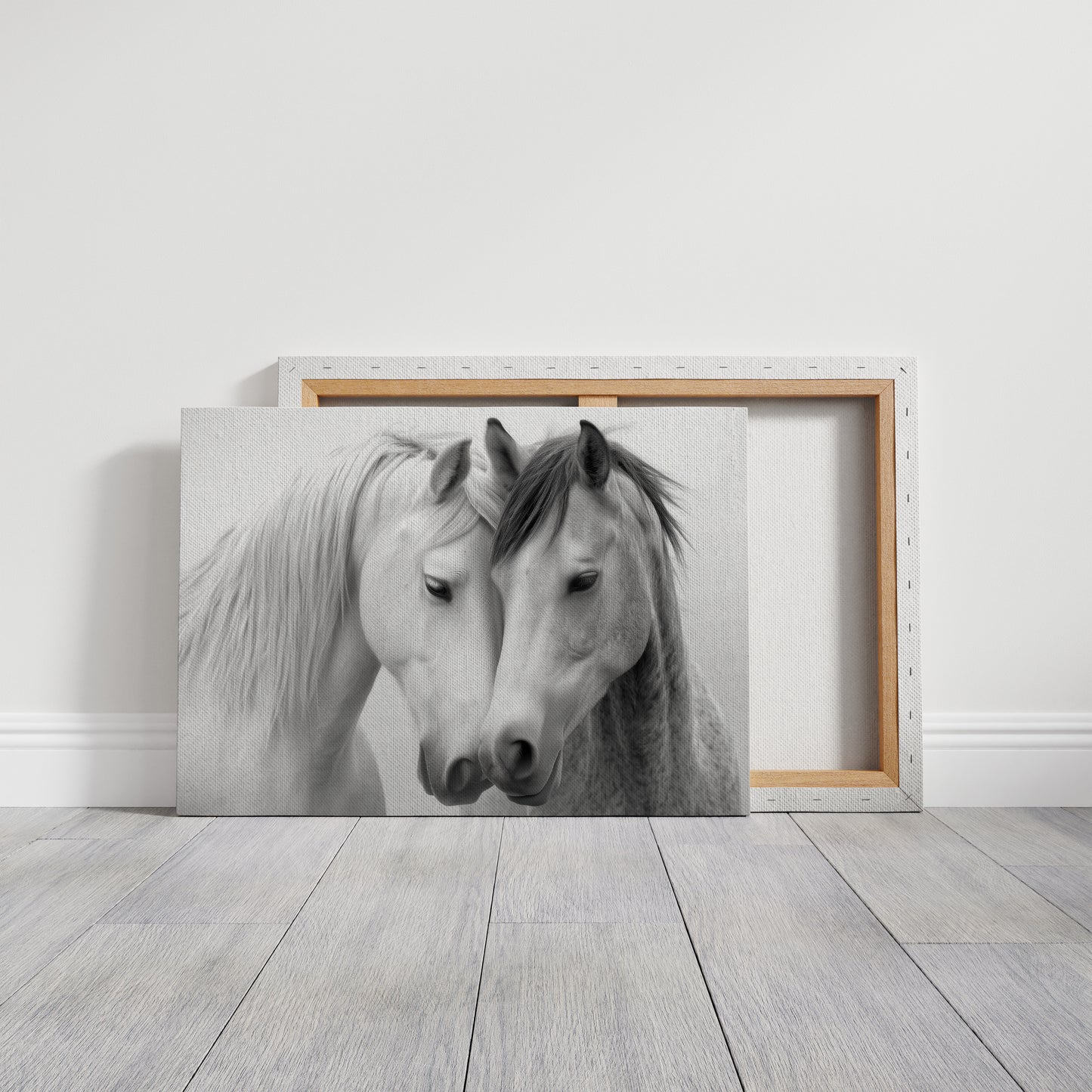 Gentle Souls Share Morning Light