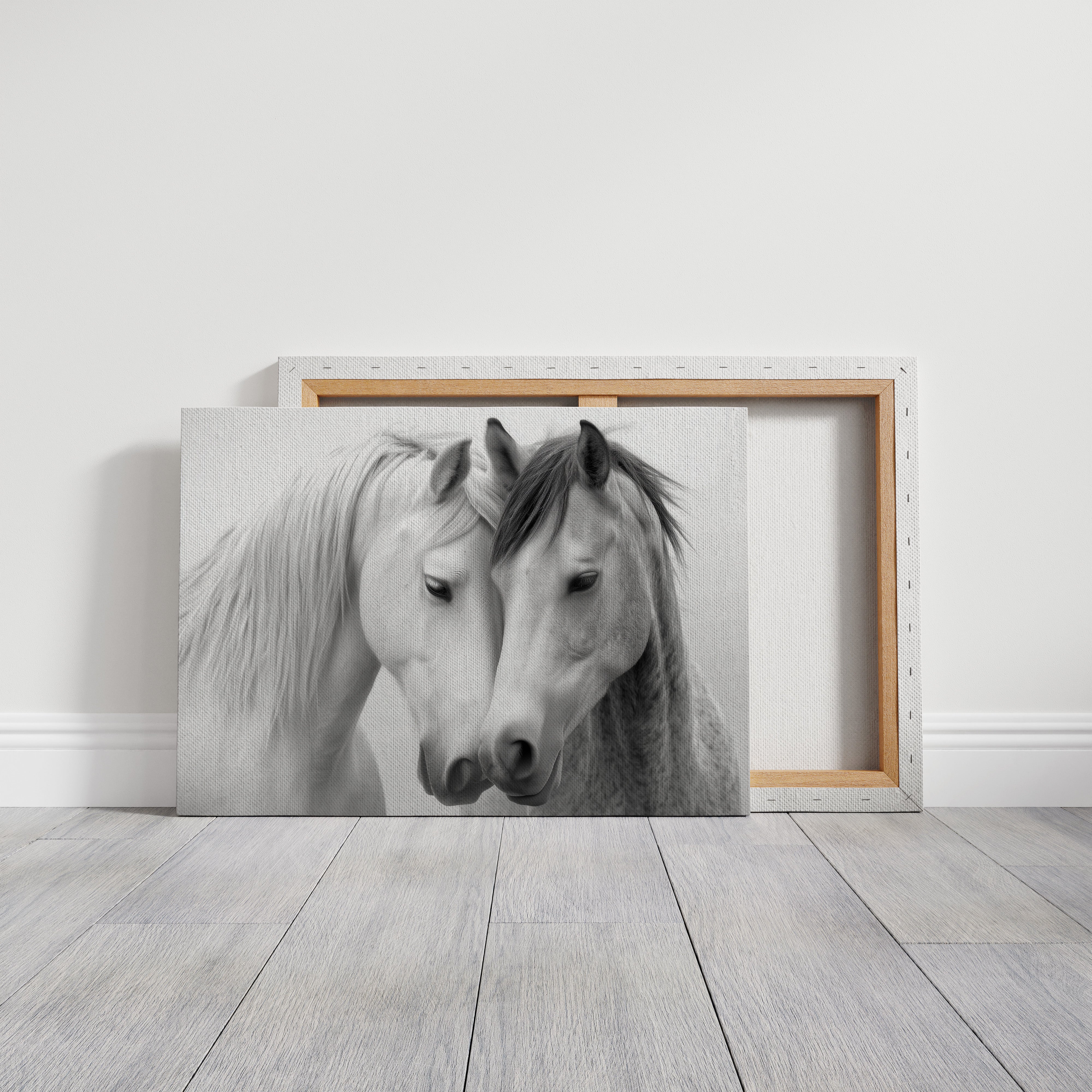 Gentle Souls Share Morning Light