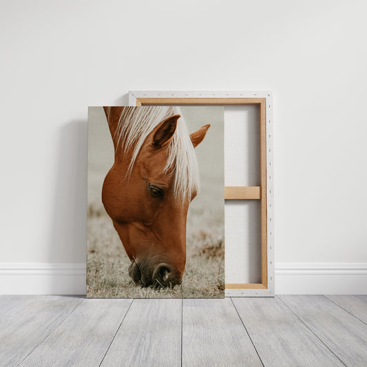 Graceful Graze and Golden Stillness