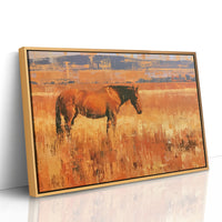 Bay Horse In Amber Grass