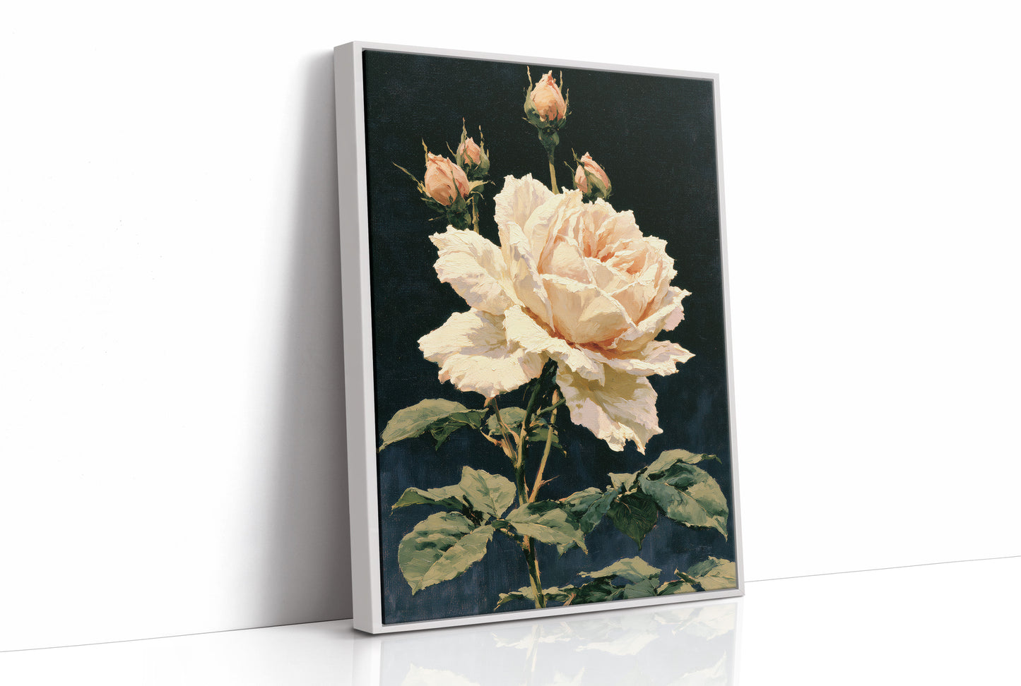 Peach Rose in Midnight