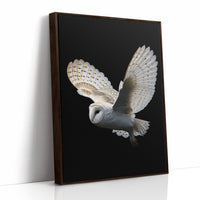 Silent Flight Against Darkness