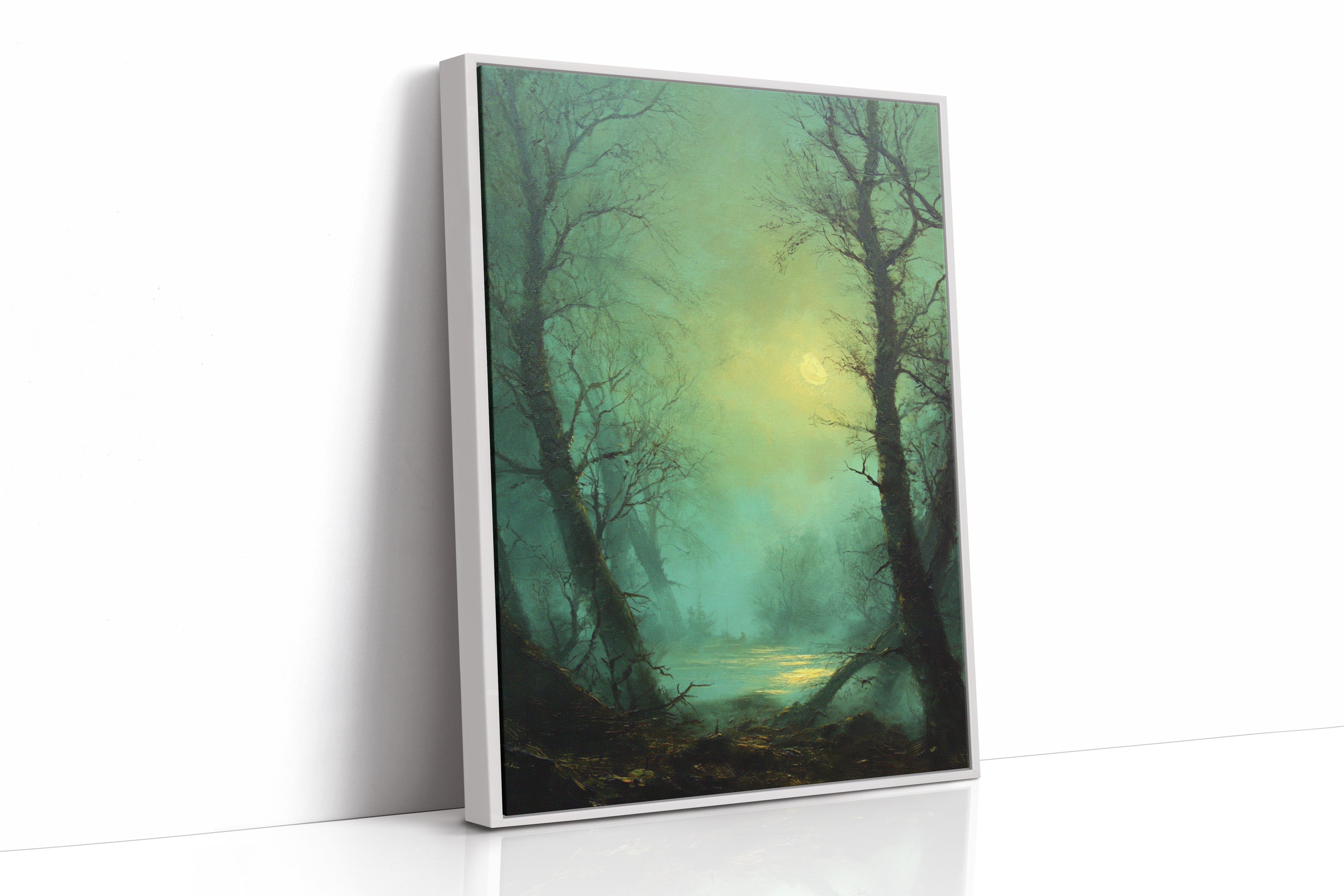 Where Light Meets the Forgotten