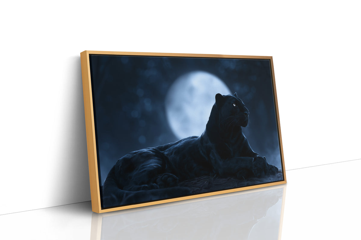 Night Owl, Technically Feline