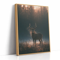 Buck at First Light