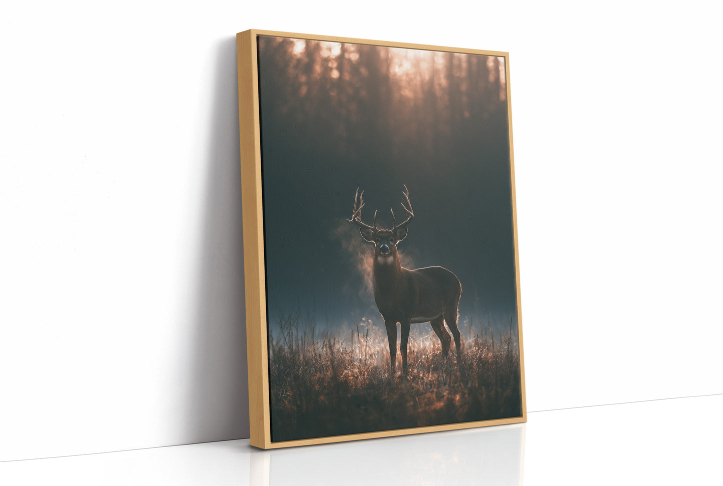 Buck at First Light