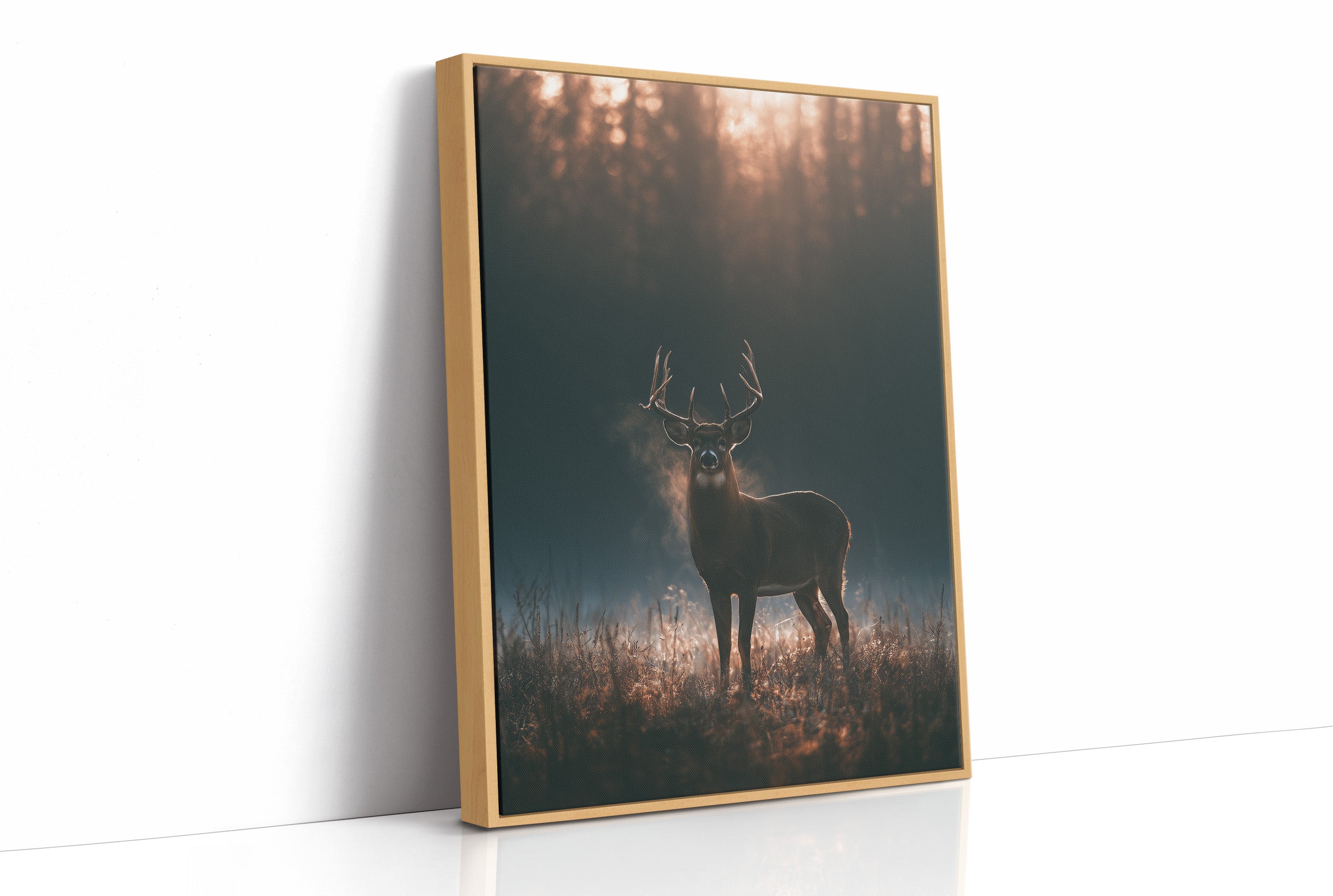 Buck at First Light