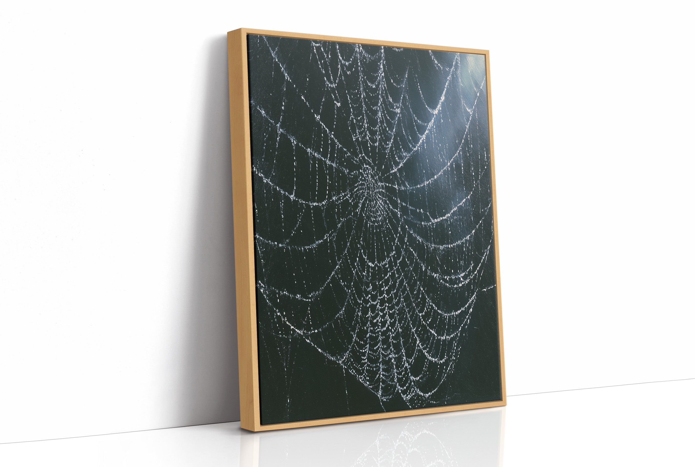 Dew-Kissed Web at Dusk