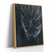 Web in the Dark