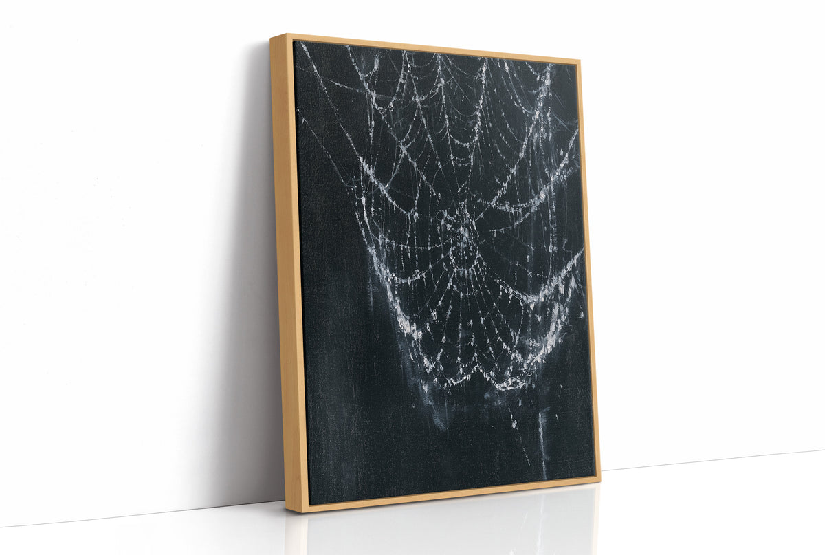 Web in the Dark