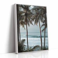 Tides Dance Beneath Tall Palms