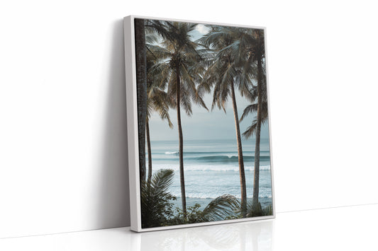 Tides Dance Beneath Tall Palms