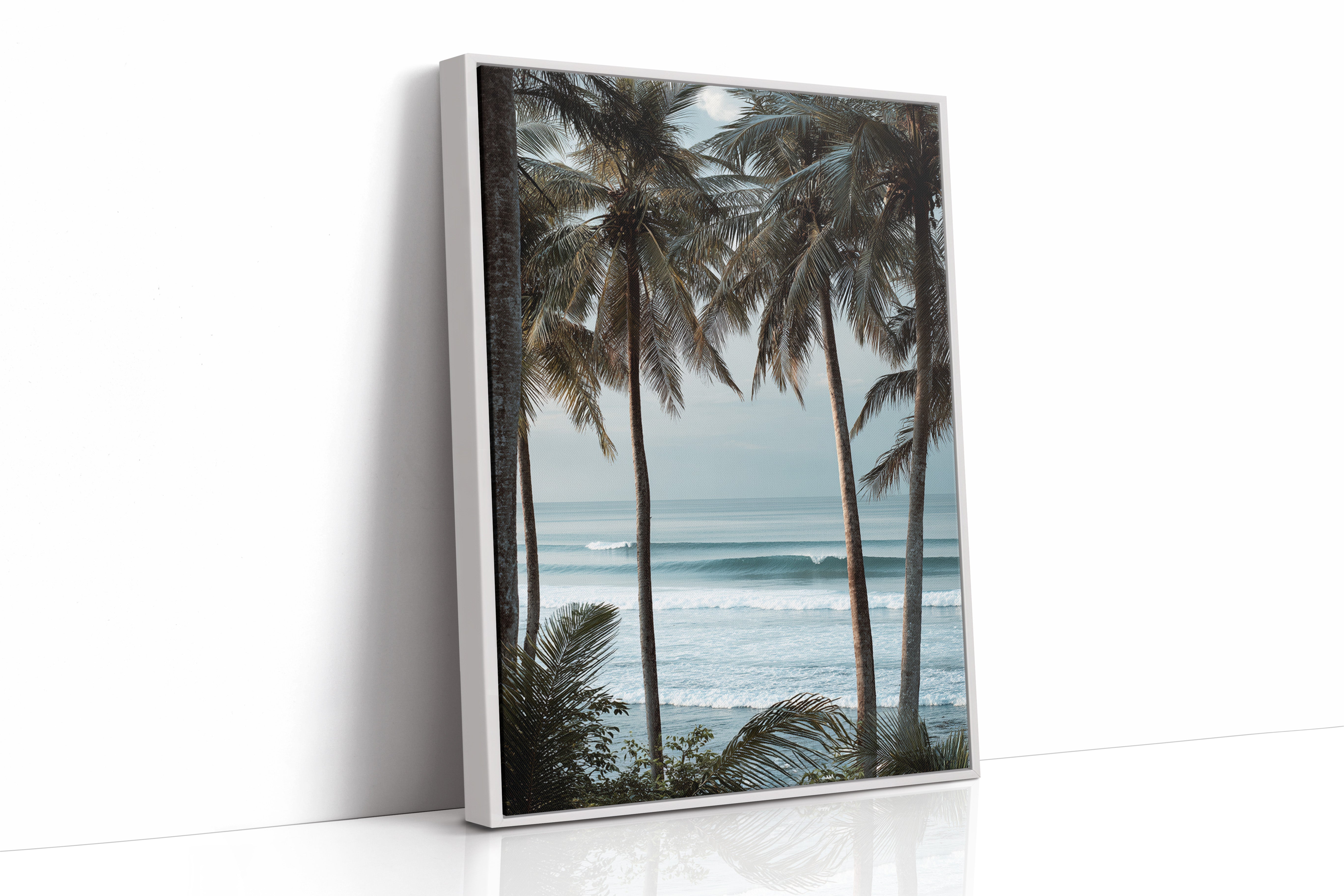 Tides Dance Beneath Tall Palms