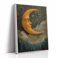 The Moon's Silent Serenade