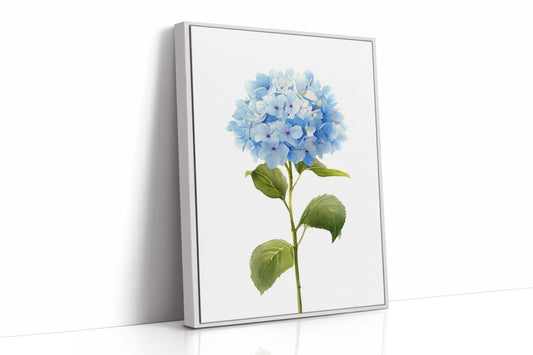 A Symphony of Blue Petals