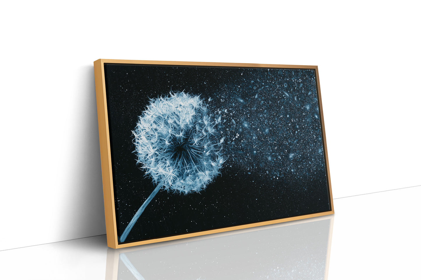 Dandelion Becomes Stardust
