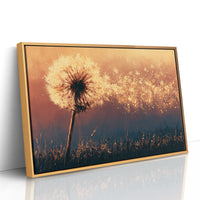 Dandelion Ablaze at Dusk