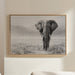 Wisdom Walks The Savanna Plains