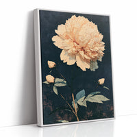 One Peony, No Apologies
