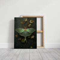 Midnight Moth Among Faded Blooms