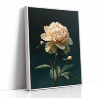 Ivory Peony, Dutch Master Mood