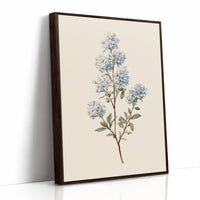 Lilac Blossom On Cream
