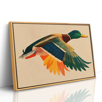 Mallard in Midair