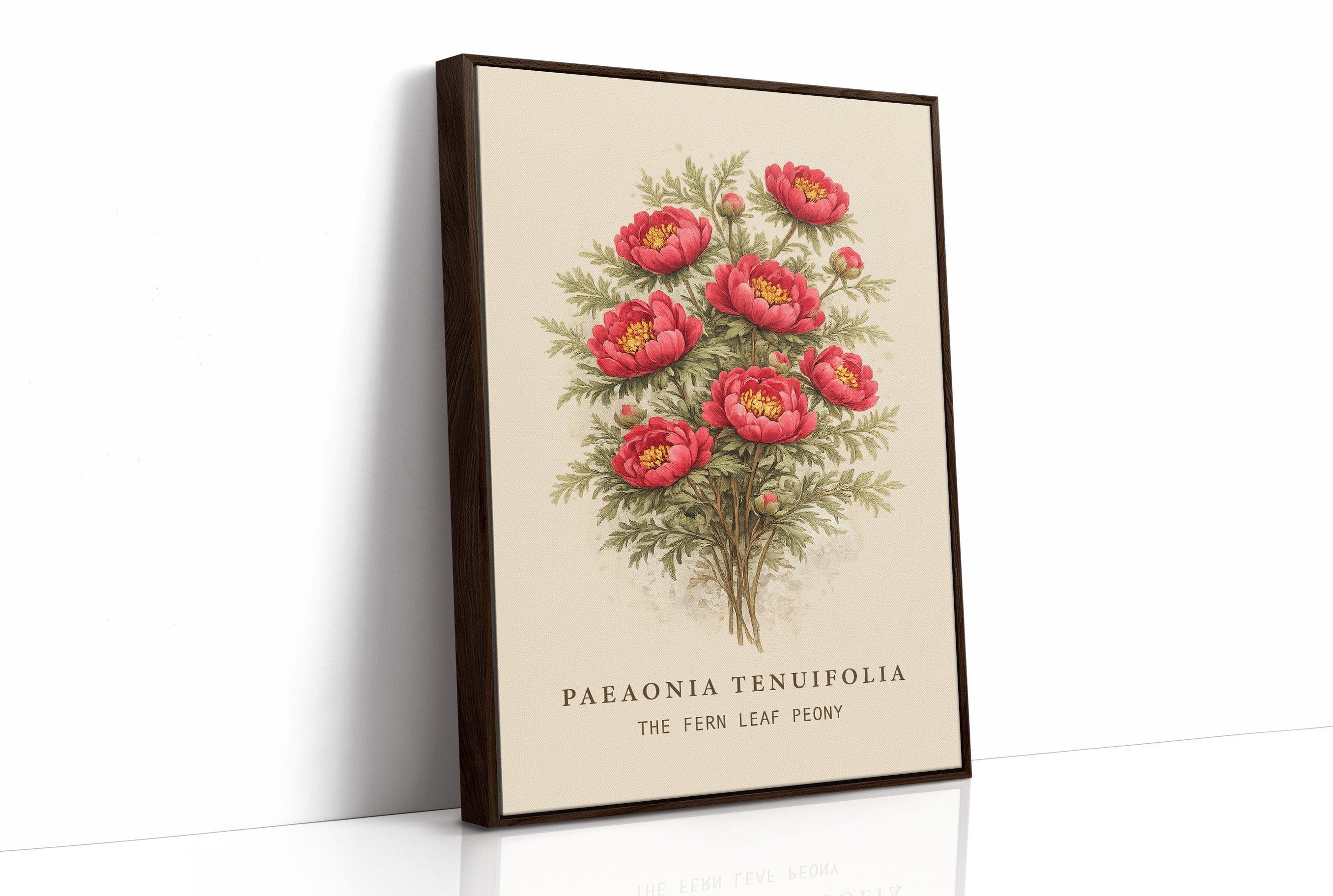Crimson Nobility: Botanical Heritage Preserved