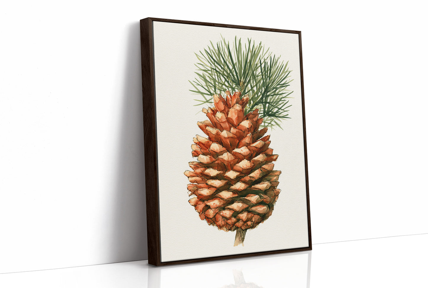 Pinecone Study No. 1