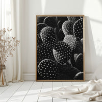 Desert Geometry in Monochrome