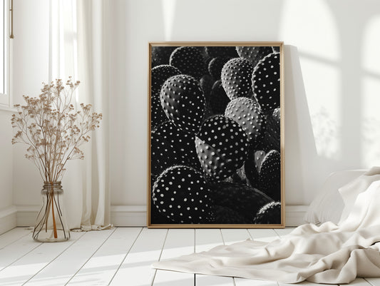 Desert Geometry in Monochrome