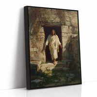 Ancient Threshold Beckons With Light