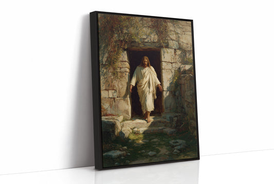 Ancient Threshold Beckons With Light