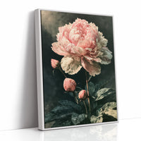 Peony Caught in Corner Light