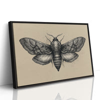 Vintage Moth Among Literary Spines