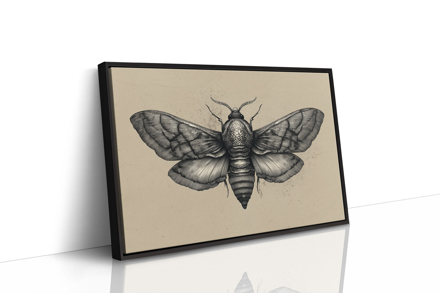 Vintage Moth Among Literary Spines