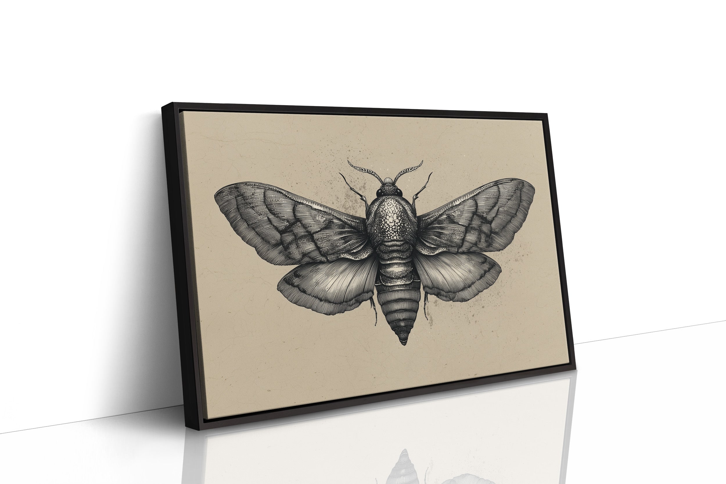 Vintage Moth Among Literary Spines