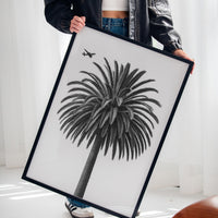 Palm Crown and Passing Plane